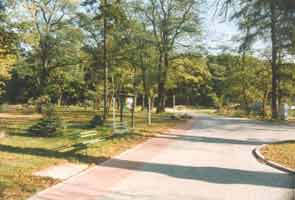 Der Dorfplatz in Richtung Feuerwehrhaus