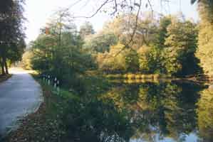 Der Dorfteich an der Stra�e nach L�bbinchen 